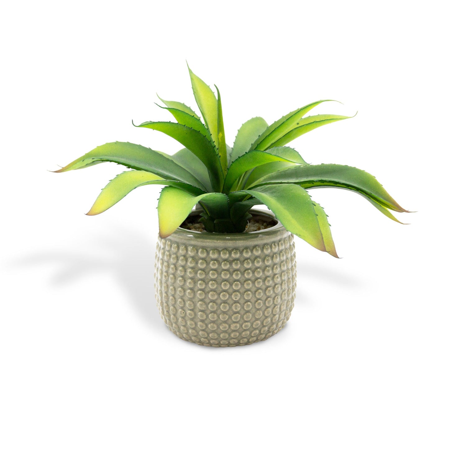 Artificial Agave Americana Plant in a Ceramic Pot 23cm