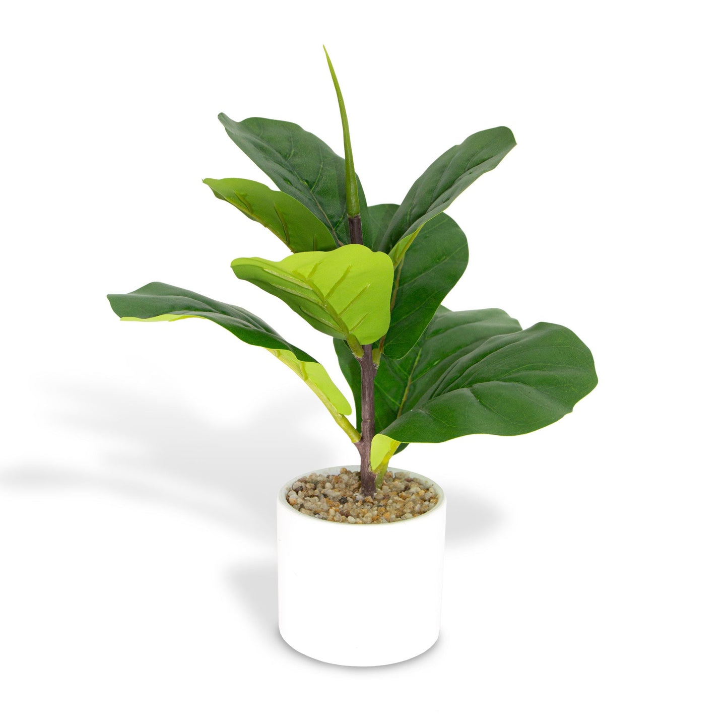 Artificial Ficus Lyrata in a White Pot 36cm