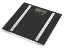 Lewis's Body Fat Scale